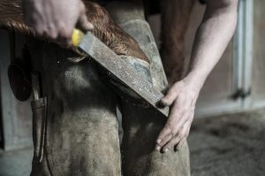farrier-1246258_640